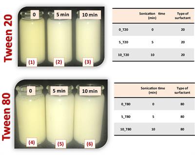 Antifungal activity of eco-safe nanoemulsions based on Nigella sativa oil against Penicillium verrucosum infecting maize seeds: Biochemical and physiological traits